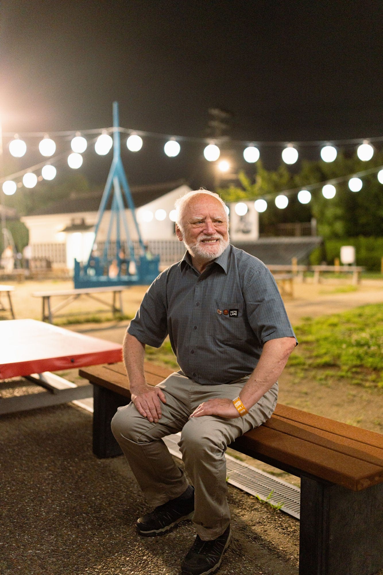 Hide The Pain Harold at the Memeland IVS Kyoto event
