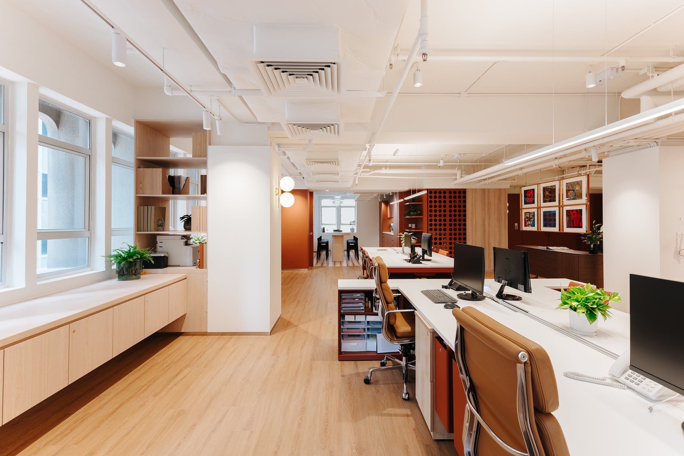 TCBB Office open workspace with warm timber and daylight